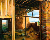 Tarde de azafrán o corral en ruinas